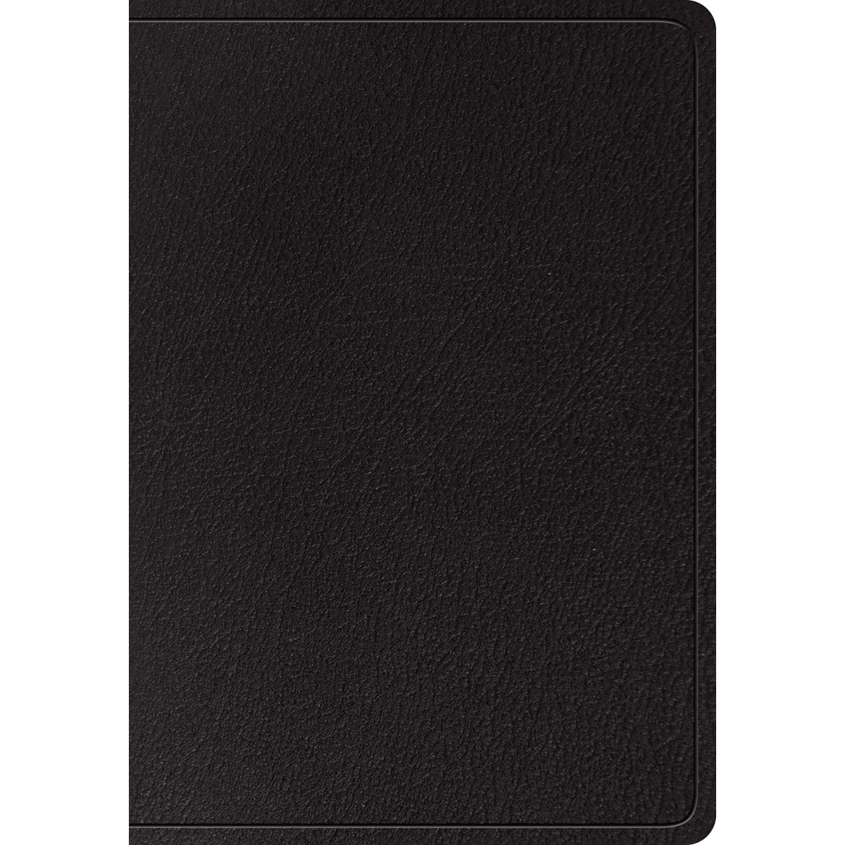 ESV Super Giant Print Bible Black (Genuine Leather)