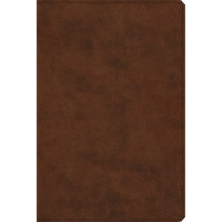 ESV Reader's Bible Brown (Imitation Leather)