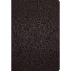 ESV Large Print Compact Bible (Deep Brown)(Genuine Leather With Ribbon Marker)