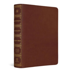 ESV TruTone Chestnut Imitation Leather Systematic Theology Study Bible