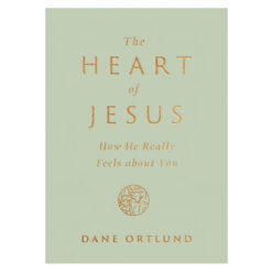 The Heart of Jesus: How He Really Feels about You (Paperback)