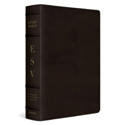 ESV Imitation Leather TruTone Deep Brown Study Bible Large Print