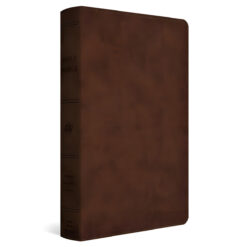 ESV Brown Imitation Leather Dyslexia-Friendly Holy Bible