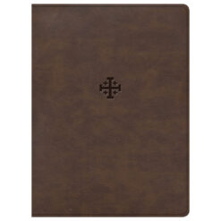 CSB Life Connections Study Bible Indexed Brown (Imitation Leather)