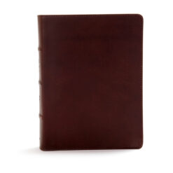 CSB Study Bible Indexed Brown (Genuine Leather)