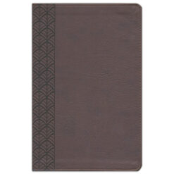 CSB Study Bible For Women Chocolate (Imitation Leather)
