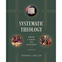 Systematic Theology Volume 1: From Canon To Concept (Hardcover)