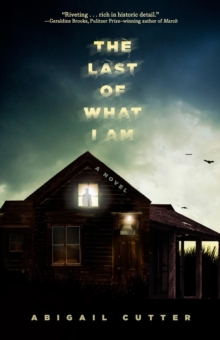 The Last of What I Am : A Novel - 9781454951780