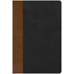 CSB Rainbow Study Bible Indexed Black Tan (Imitation Leather)