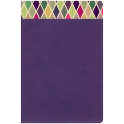 CSB Rainbow Study Bible Purple (Imitation Leather)