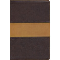 CSB Disciples Study Bible Brown Tan (Imitation Leather)