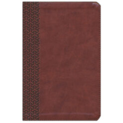 CSB Everyday Study Bible British Tan (Imitation Leather)