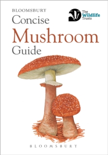 Concise Mushroom Guide - 9781472963789