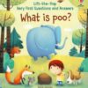 Very First Questions and Answers What is poo? - 9781474917902
