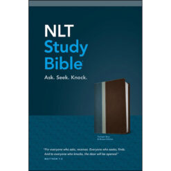 NLT Study Bible Twilight Blue / Brown (Imitation Leather)