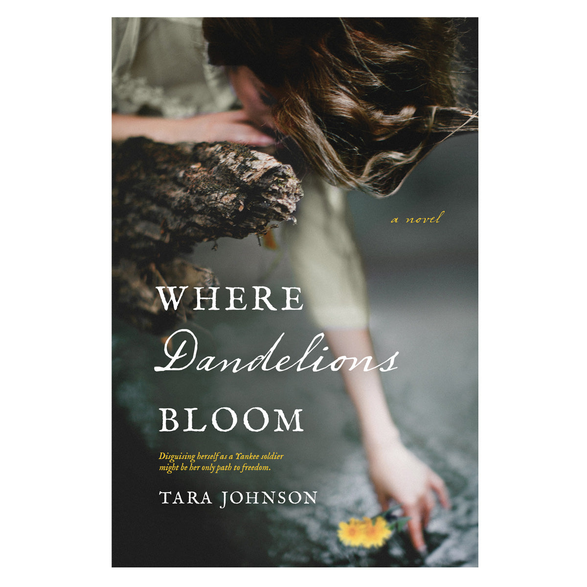 Where Dandelions Bloom (Paperback)
