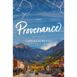 Provenance: A Novel (Paperback)