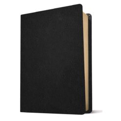 NIV Every Man's Bible Large Print Black (Genuine Leather)