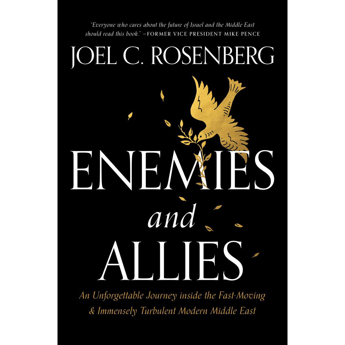 Enemies And Allies (Hardcover)