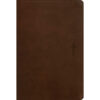 NLT Filament Compact Bible, Red Letter, Rustic Brown (Imitation Leather)