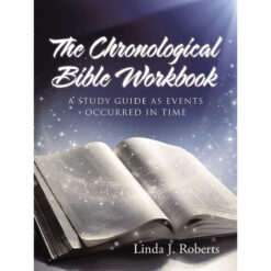 The Chronological Bible Workbook (Paperback)