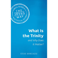 What Is The Trinity And Why Does It Matter (Paperback)
