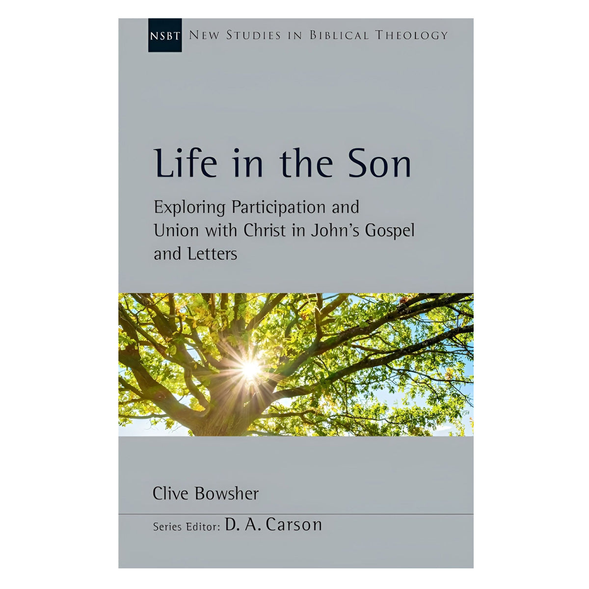 Life in the Son: Exploring Participation & Union with Christ in John's Gospel & Letters PB