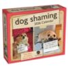 Dog Shaming 2026 Day-to-Day Calendar - 9781524898816