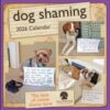 Dog Shaming 2026 Wall Calendar - 9781524898823