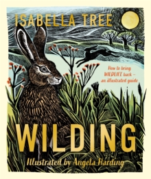Wilding: How to Bring Wildlife Back - an Illustrated Guide - 9781529092844