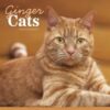 Ginger Cats Square Wall Calendar 2026 - 9781529847864