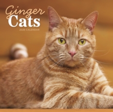 Ginger Cats Square Wall Calendar 2026 - 9781529847864
