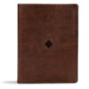 CSB Day By Day Chronological Bible Brown (Imitation Leather)