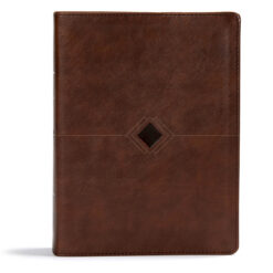 CSB Day By Day Chronological Bible Brown (Imitation Leather)