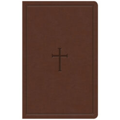 KJV Personal Size Reference Bible Large Print Brown (Imitation Leather)