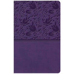 KJV Personal Size Reference Bible Large Print Indexed Purple (Imitation Leather)