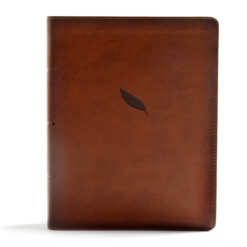 CSB Legacy Notetaking Bible Tan (Imitation Leather)
