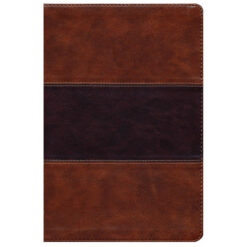 KJV Reference Bible Giant Print Saddle Brown (Imitation Leather)