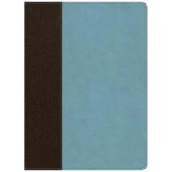 CSB Life Essentials Study Bible Indexed Brown / Sky (Imitation Leather)