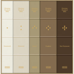 CSB Reader's Bible 5 Volume Collection Cloth Over Board (Hardcover)