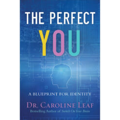 The Perfect You Curriculum Kit A Blueprint For Identity (Curriculum Kit)