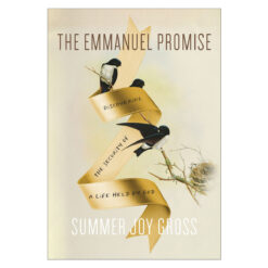 The Emmanuel Promise: Discovering the Security of a Life Held by God PB