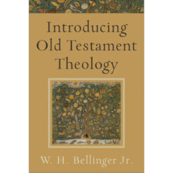 Introducing Old Testament Theology (Paperback)