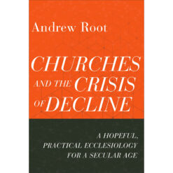 Churches And The Crisis Of Decline: A Hopeful, Practical Ecclesiology For A Secular Age (Paperback)