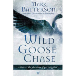 Wild Goose Chase (Paperback)