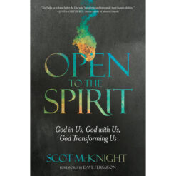 Open To The Spirit (Paperback)