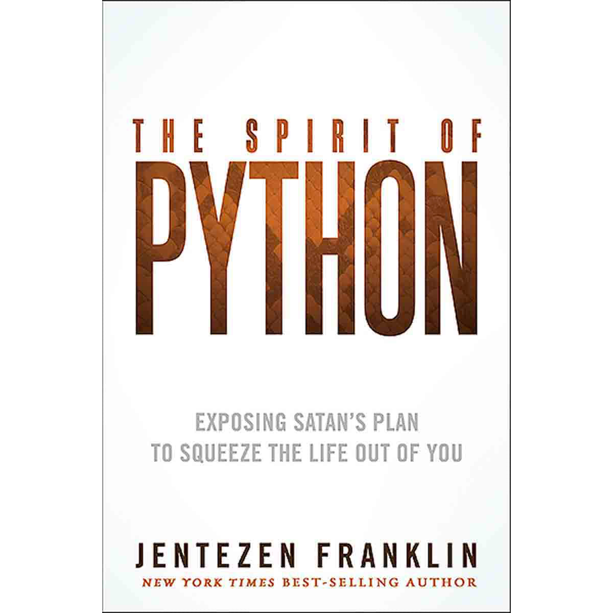 The Spirit Of Python (Paperback)