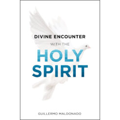 Divine Encounter With The Holy Spirit (Paperback)
