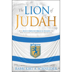 The Lion Of Judah: How Christianity And Judaism Separated (Paperback)