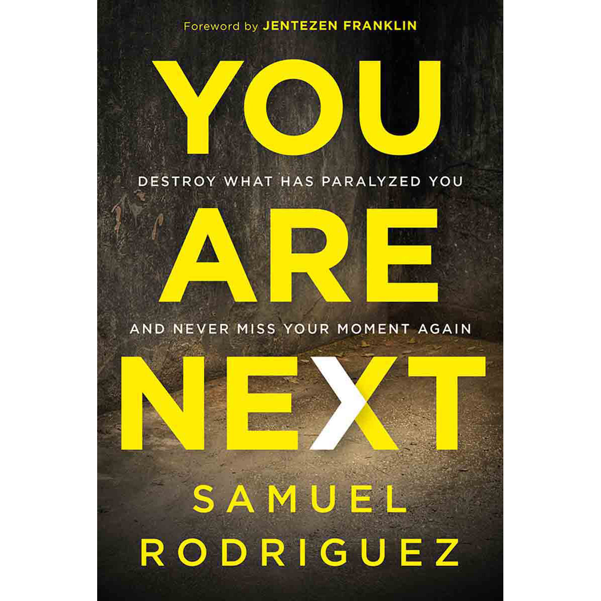 You Are Next: Destroy What Has Paralyzed You, And Never Miss Your Moment Again (Hardcover)